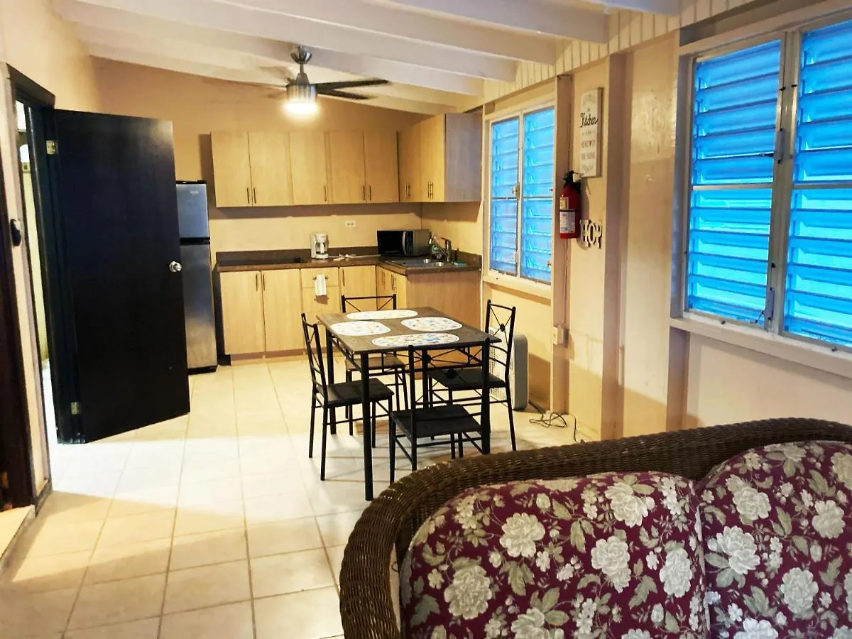 Wild Flowers Apartments 카보조로